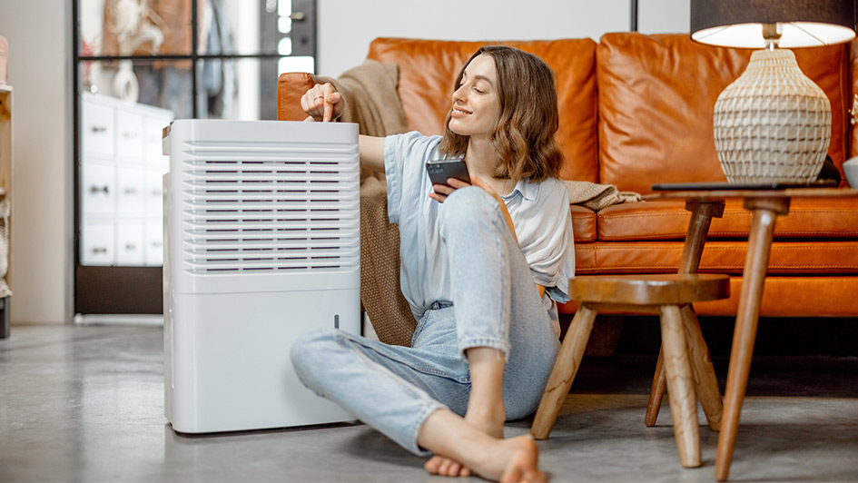 Whole-Home Dehumidifier vs. Portable Units: Which Is Best for Spring? 
